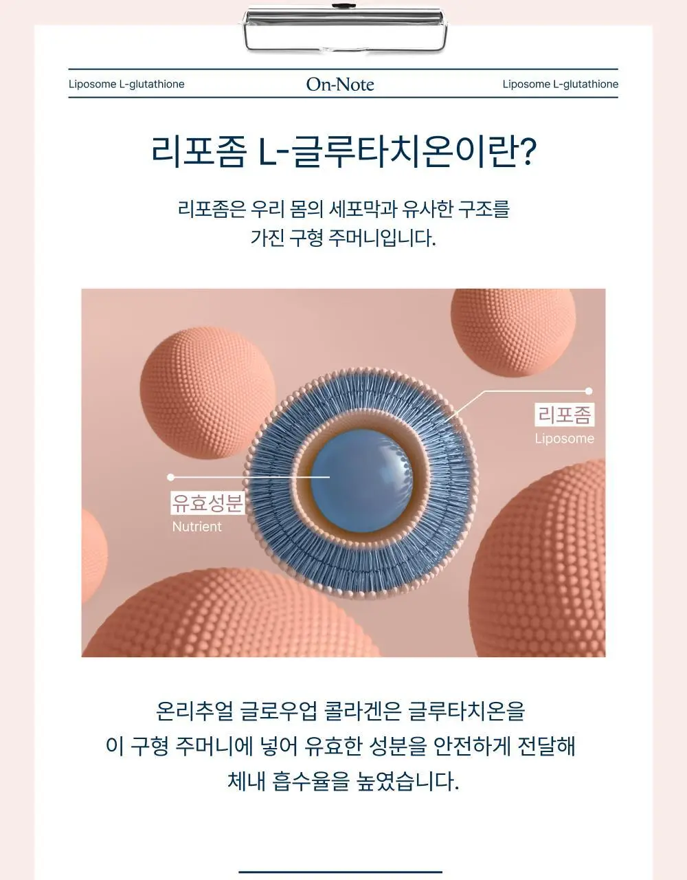 [윤광UP]온리추얼 글로우업 콜라겐 7포 (+1포 증정) (8일분) 상세페이지 8